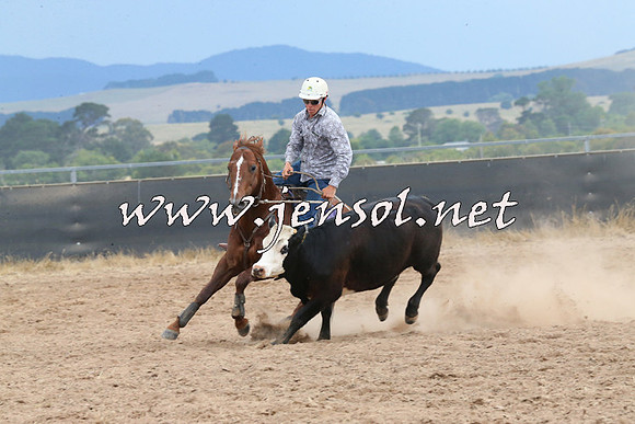 BraidwoodCampdraft2014_2647