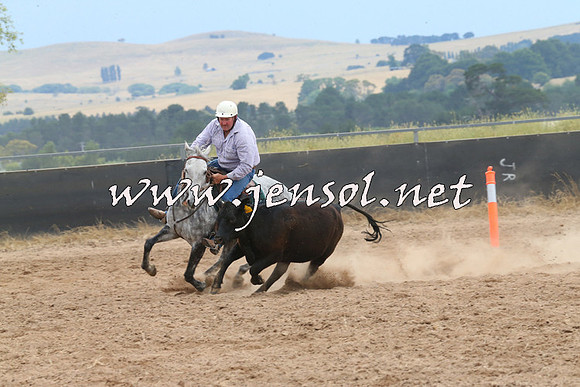 BraidwoodCampdraft2014_2700
