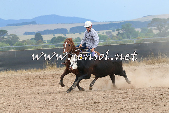 BraidwoodCampdraft2014_2648