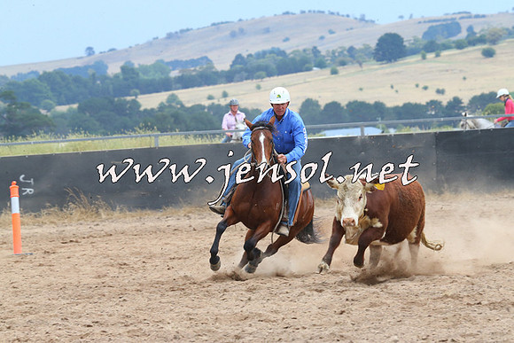BraidwoodCampdraft2014_2672