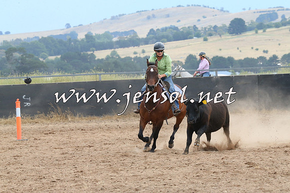 BraidwoodCampdraft2014_2711