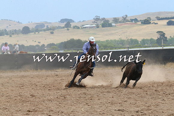 BraidwoodCampdraft2014_2713