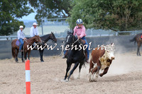 BraidwoodCampdraft2014_2577