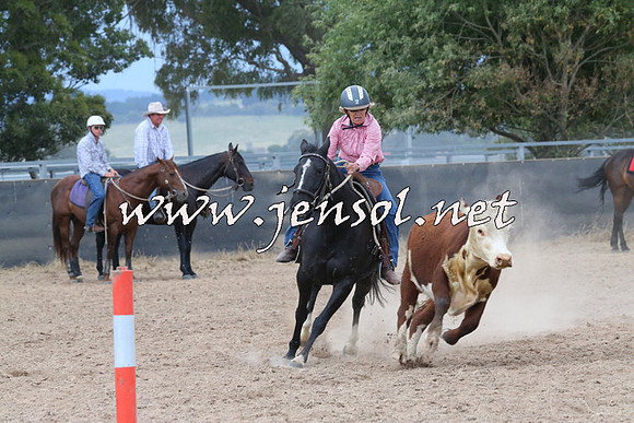 BraidwoodCampdraft2014_2577