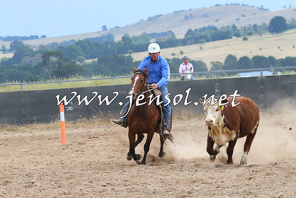 BraidwoodCampdraft2014_2665