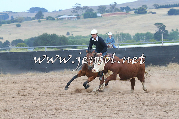 BraidwoodCampdraft2014_2615