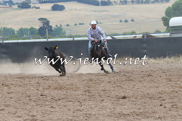 BraidwoodCampdraft2014_2681