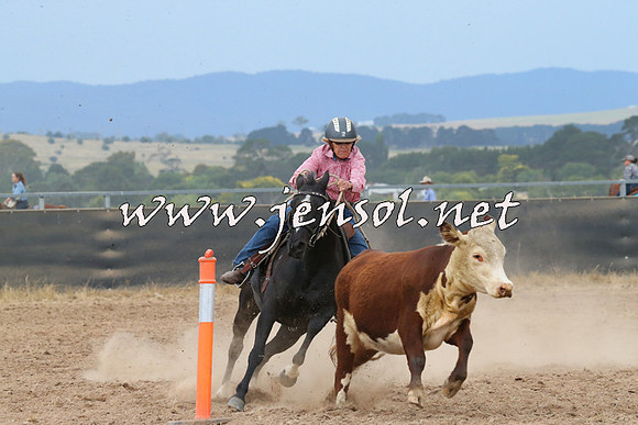 BraidwoodCampdraft2014_2567