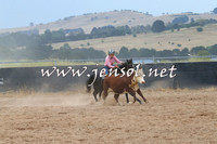 BraidwoodCampdraft2014_2561