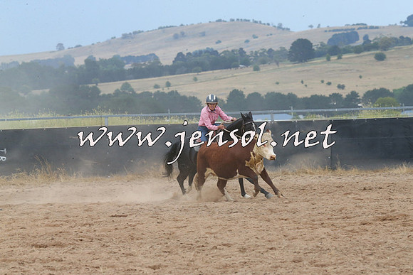 BraidwoodCampdraft2014_2561