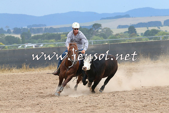 BraidwoodCampdraft2014_2646