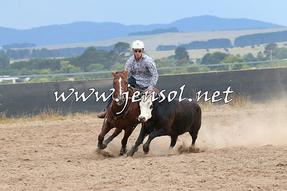 BraidwoodCampdraft2014_2651