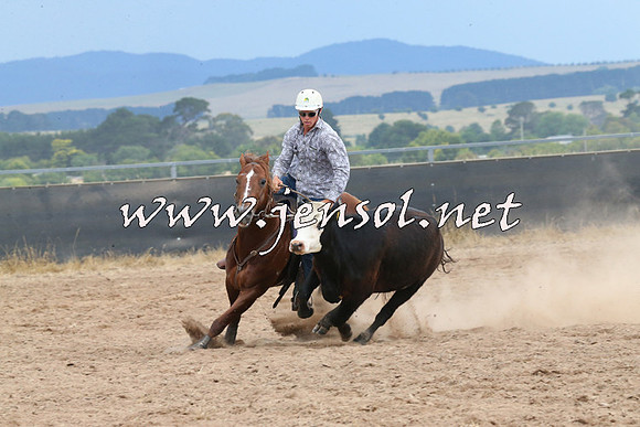 BraidwoodCampdraft2014_2650