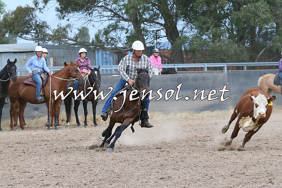 BraidwoodCampdraft2014_2636