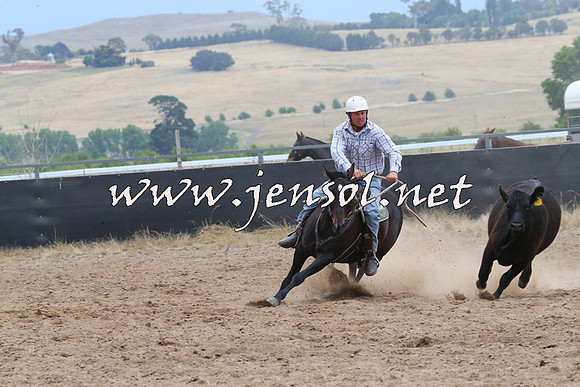 BraidwoodCampdraft2014_2674