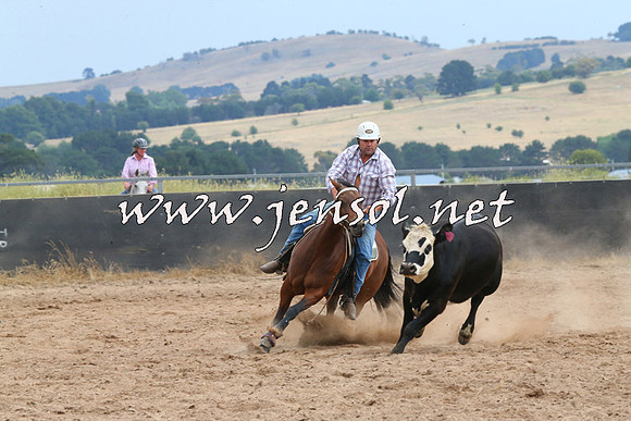 BraidwoodCampdraft2014_2658