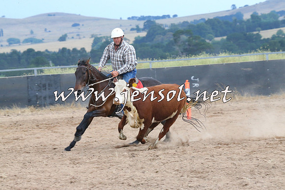 BraidwoodCampdraft2014_2623