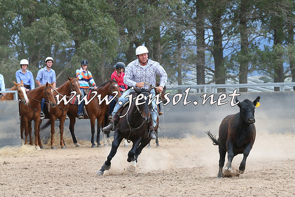 BraidwoodCampdraft2014_2687