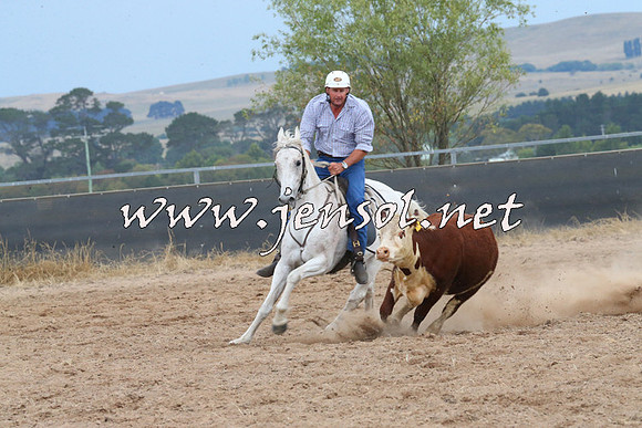 BraidwoodCampdraft2014_2613