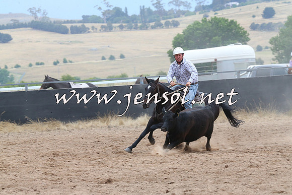 BraidwoodCampdraft2014_2677