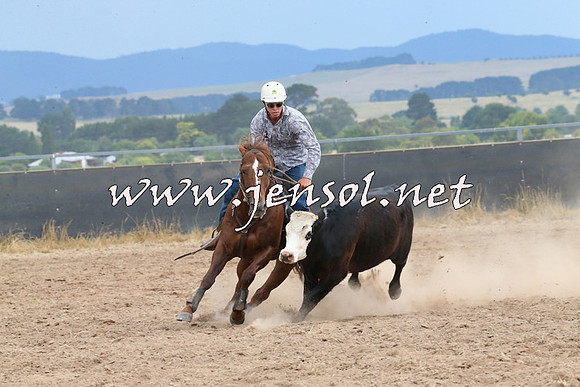 BraidwoodCampdraft2014_2649