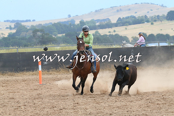BraidwoodCampdraft2014_2708