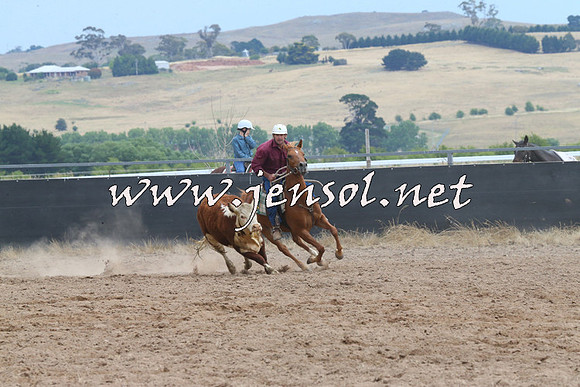 BraidwoodCampdraft2014_2655