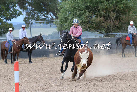 BraidwoodCampdraft2014_2571