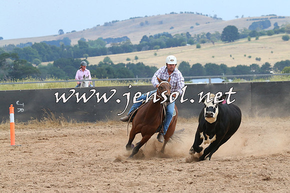 BraidwoodCampdraft2014_2657