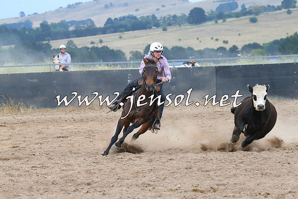 BraidwoodCampdraft2014_2586