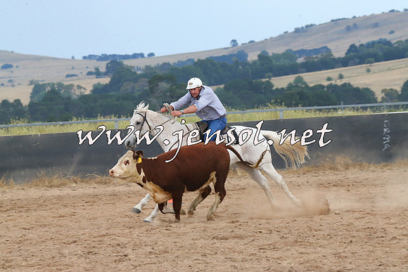 BraidwoodCampdraft2014_2606