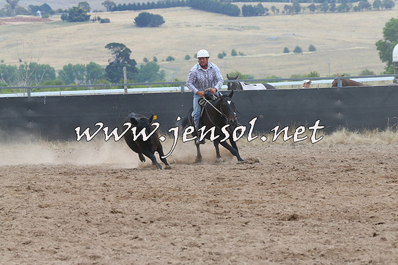 BraidwoodCampdraft2014_2682
