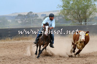 BraidwoodCampdraft2014_2580