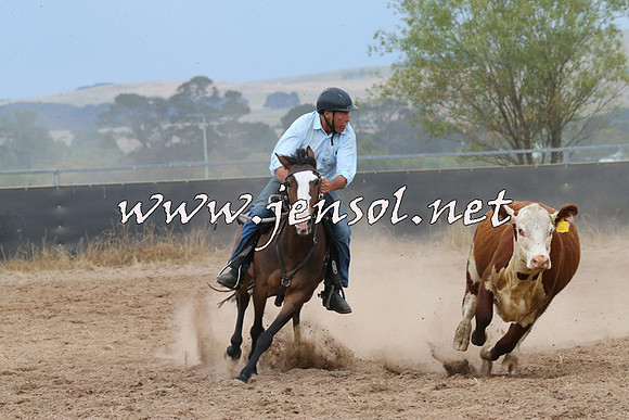 BraidwoodCampdraft2014_2580
