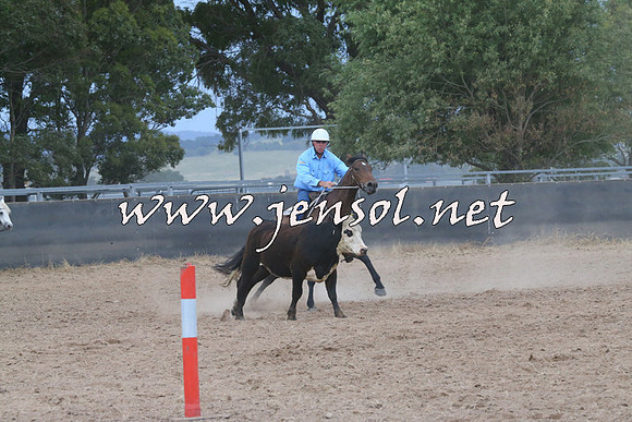 BraidwoodCampdraft2014_2601