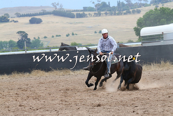 BraidwoodCampdraft2014_2673