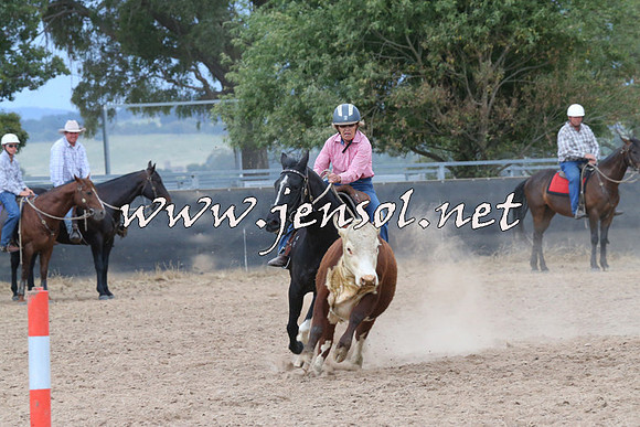 BraidwoodCampdraft2014_2572