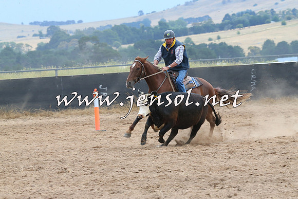 BraidwoodCampdraft2014_2696