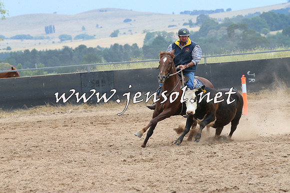 BraidwoodCampdraft2014_2698