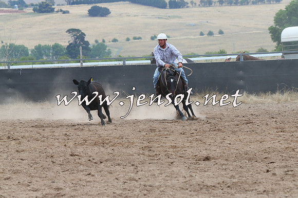 BraidwoodCampdraft2014_2680