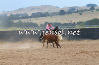 BraidwoodCampdraft2014_2560
