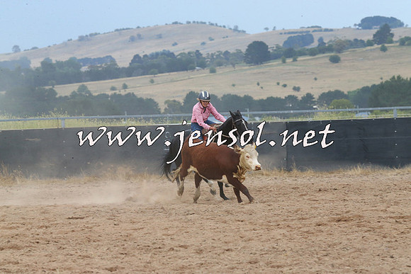BraidwoodCampdraft2014_2560