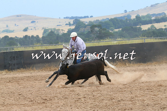 BraidwoodCampdraft2014_2703