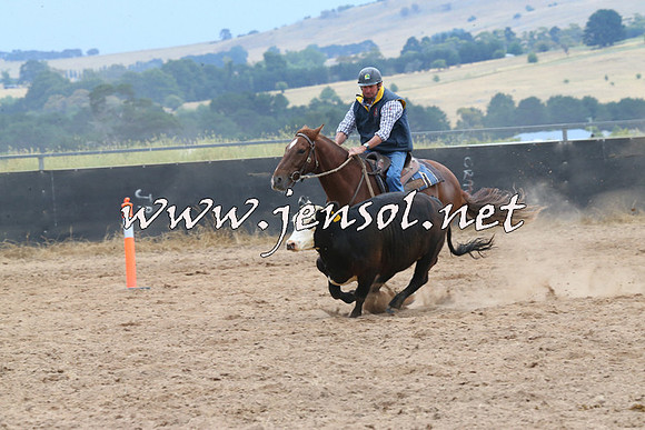 BraidwoodCampdraft2014_2690