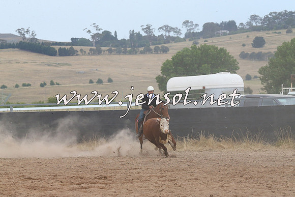 BraidwoodCampdraft2014_2618