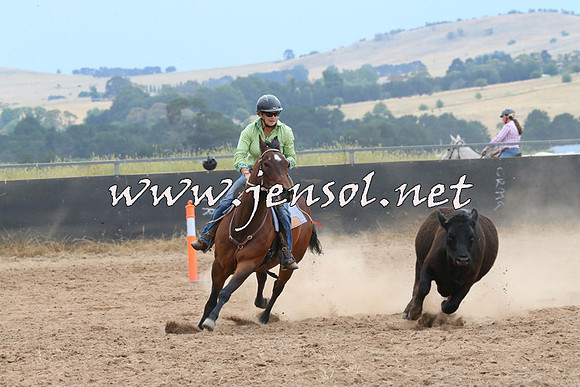 BraidwoodCampdraft2014_2707