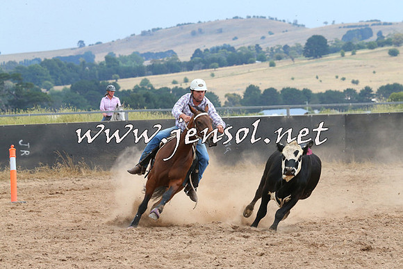 BraidwoodCampdraft2014_2661