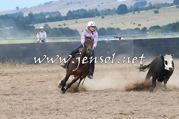 BraidwoodCampdraft2014_2587