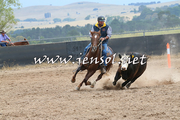 BraidwoodCampdraft2014_2692