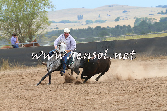 BraidwoodCampdraft2014_2701